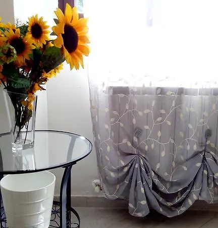 La Giunchiglia Apartment Assisi